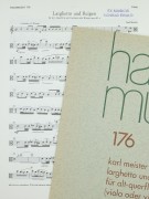 Umschlag / Cover 2